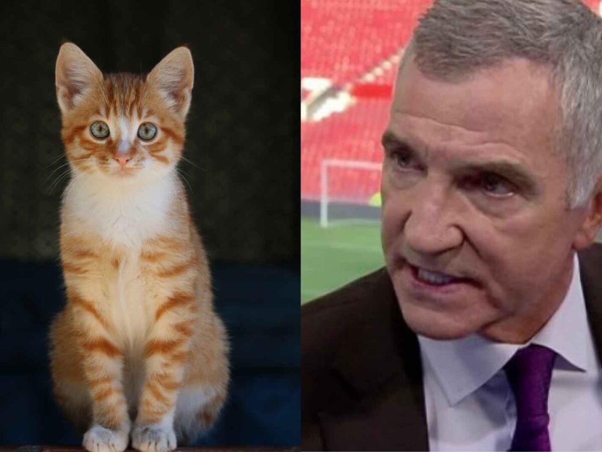 Graeme Souness slams Zouma for animal abuse video during Sky Sports segment