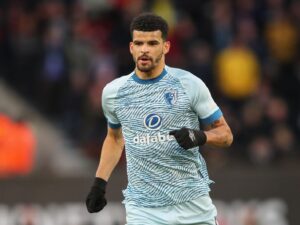 Dominic Solanke (1)