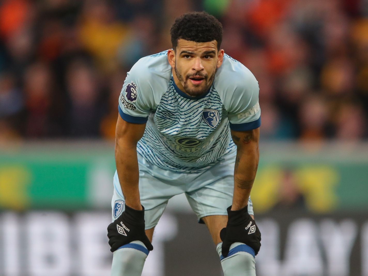 Tottenham Transfer Buzz: Dominic Solanke Vows to Score Big in Fantasy Premier League